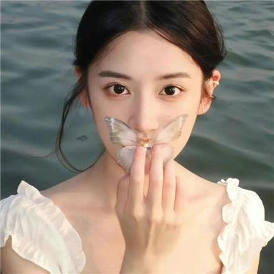 港灯物语 在线观看